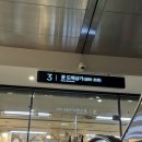시장터미널 | [고터] 고속터미널 꽃시장 5월 방문 후기🌷(카네이션 꽃다발)