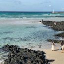 맛있개 냠냠 이미지