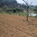 매전면사무소 이미지