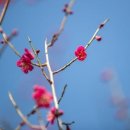 개포4-106 이미지