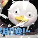 안동돼지국밥 이미지