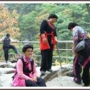 경보사 이미지