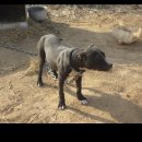 부광주유소 이미지