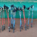 당진씨름장 이미지