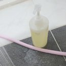 뉴바디데이
