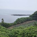 파라다이스 제주카지노 노동조합 이미지