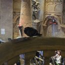 혜성프라스틱 | 롯데월드 캐스트 5월 성수기의 시작 일상 후기 (feat. 성수기 지옥에 오신걸 환영합니다)