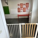 여기서놀자 네컷사진 | 카페 실내·야외 완비된 &lt;카페몽몽&gt; 제주공항핫플 대형견 놀이터 주차시설 좋은 곳 후기 (몽몽네컷도 있음)