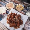 장윤정의 치킨아트