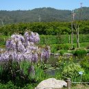 천리포수목원 이미지