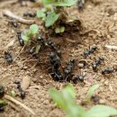 둥지광택 이미지