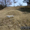 선인3리 Daum카페