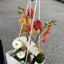 w-11 | W-11. 상견례 준비 및 후기. 광주 상견례 PPT, 식당, 선물 추천