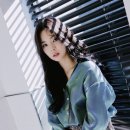김세연 카카오 검색결과