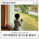 탐나는팜