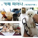 하늘#태권도장 | 영종도 하늘도시 카페 피어나 후기 (내돈내산)