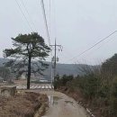 안성시 죽산면 임야3660평 매가1억8천 이미지