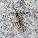 성내마을회관 이미지