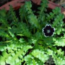 주변 이야기 이미지