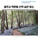 안흥유람선 | 충남 태안 흥주사 맥문동 산책 숨은 명소
