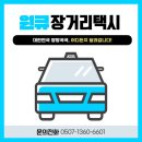 펫택시콜 이미지