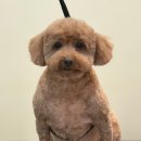 우리단비랑 이미지