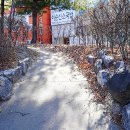 동춘당공원 맞은편 이미지