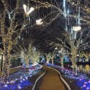 별빛공원 | [대구] 대구 근교 야경 명소: 송해공원 별빛축제 방문 후기 (주차, 입장료, 근처맛집)