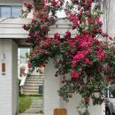 강남세운복지관 | 왜 맨날 피곤할까에 대한 고찰