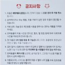 퍼피엔젤 반려동물 미용실 이미지