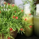 천연화장품 이미지