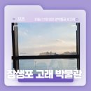 울산 고래에 대해 더 잘 알고 싶다면? - 장생포 고래 박물관 후기!