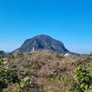 휠링민박 이미지