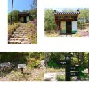 하늘재농원 | 국내힐링여행 충주 산책하기 좋은 충주하늘재 연아닮은소나무