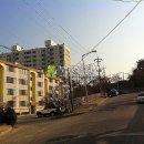 남산초교길 이미지