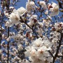 공항중학교 버스정류장 이미지