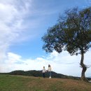 당포의하루 이미지