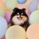 베스트유치원 이미지