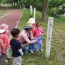 금란어린이집 이미지