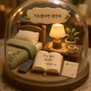 창일교회 | 기도 다 해놓고 이불 속에서 걱정을 켜는 당신에게 | 창일교회 송정우 목사님 새벽예배 | 사무엘상 1:12-20