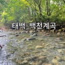 봉화열목어마을야영장 이미지