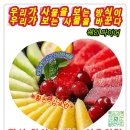 거짓과 진실 Daum카페