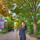 퍼펙트 P.T 이미지