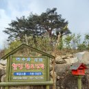 목수와시인