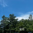 북면123 | 강원도 인제 수심깊은 계곡 백담사 스노클링 후기 (백담정 구명조끼 대여, 주차)