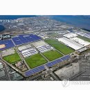 소나무 태양광발전소 이미지