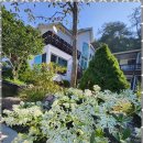 갯벌이야기펜션 이미지