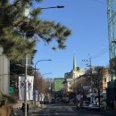 이동녕선생기념관 | 삼일절 갈만한곳 효창공원 태극기 나무 거리 백범김구기념관