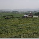 태안목장 이미지