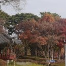 담소정 이미지